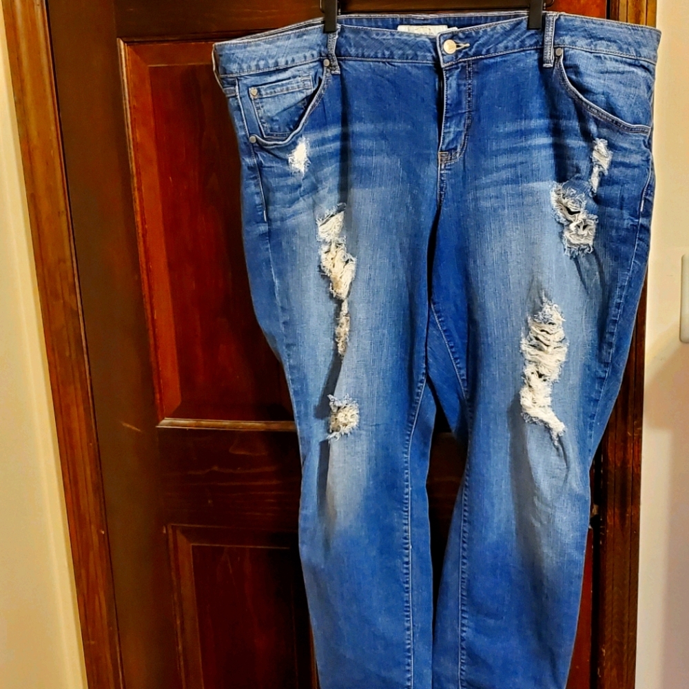 Torrid Jeans